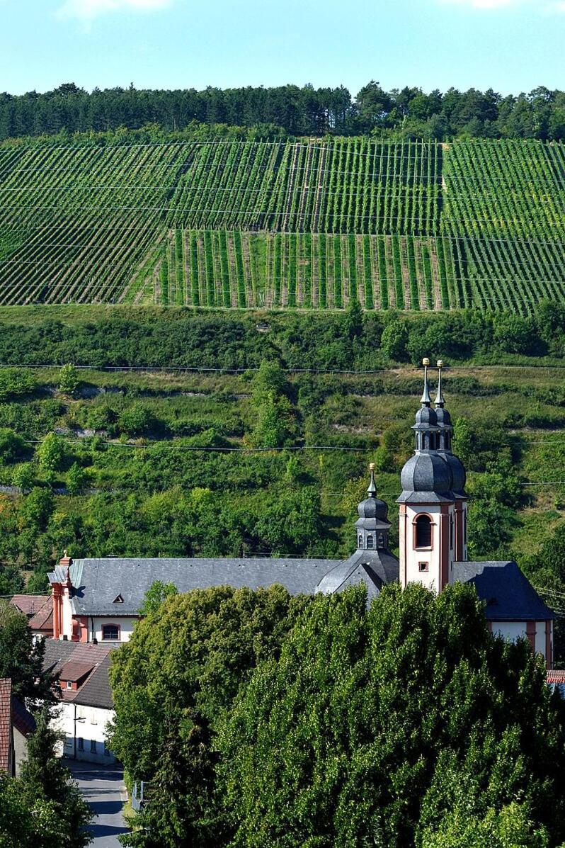 Ferienwohnung Weinbergglueck Lauda-Königshofen Exteriér fotografie